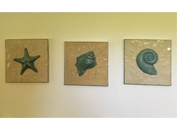 Shells And Starfish Wall Art Trio