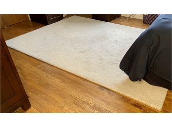 Small Off White Area Carpet