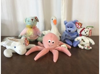 Colorful TY Beanie Baby Collection