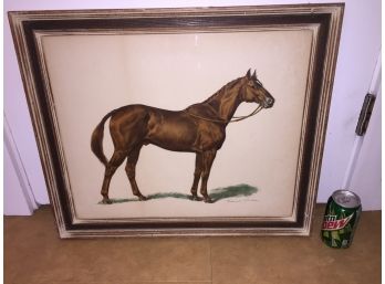 Fie Art Proof Horse Lithograph In Original Frame. Beautifully Framed.