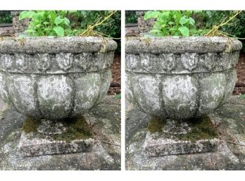 Pair Of Cement Planters