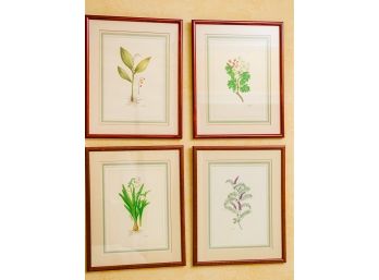 Four Gold Framed Botanicals