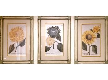 Trio Of Sunflower Prints