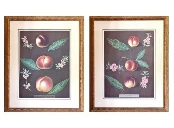 Pair Of Custom Framed Fruit Prints
