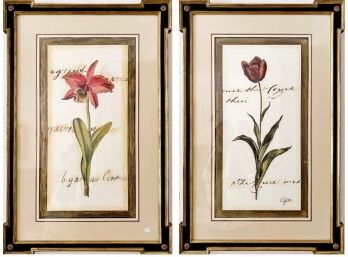 Pair Of Framed Botanical Prints