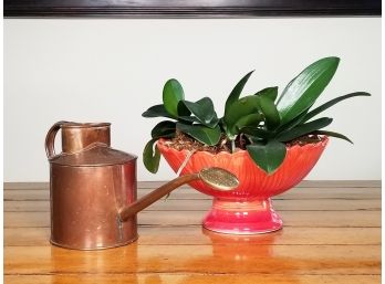 A Copper Watering Can And Live Plant In Lustreware Planter