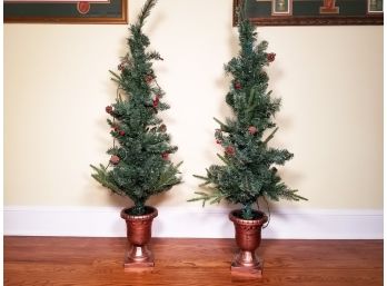 A Pair Of Lighted Christmas Trees In Urns