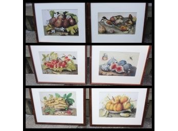 Awesome Collection Of Framed  Fruit & Vegtable Prints