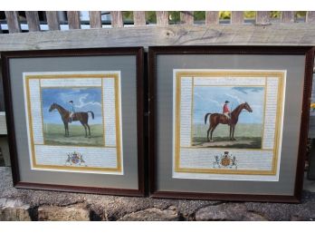 Great Pair Horse Prints With Their Pedigrees And Achievements