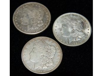 All Three 1921 Morgan Silver Dollars- Philadelphia, Denver, San Fransisco!