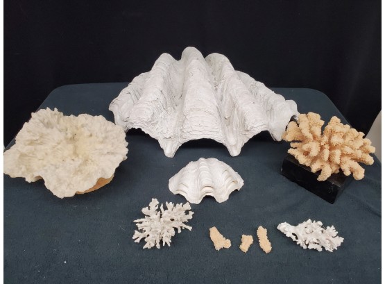 Mixed Lot Of Beach House Decor - Genuine And Faux Sea Shells And Coral, Faux Giant Clam Shell