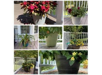 Planters And Flower Pots