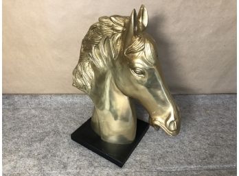 The Golden Horse - Head That Is!