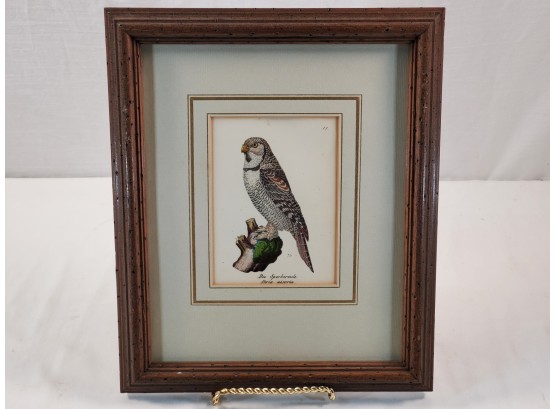 Antique Framed Color Lithograph Of A Hawk - Numbered