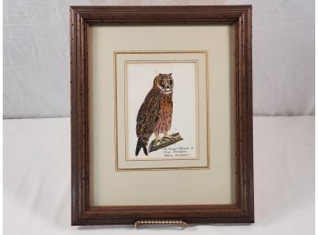 Antique Framed Owl Colored Lithograph - Numbered
