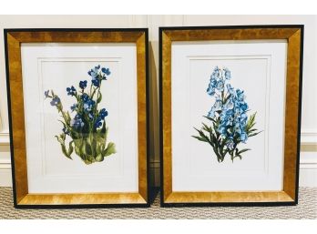 Pair Of Hyacinth Prints, Cool Frames