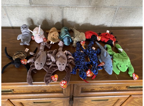 Ty Beanie Babies Collection - Miscellaneous Ocean Animals (14)