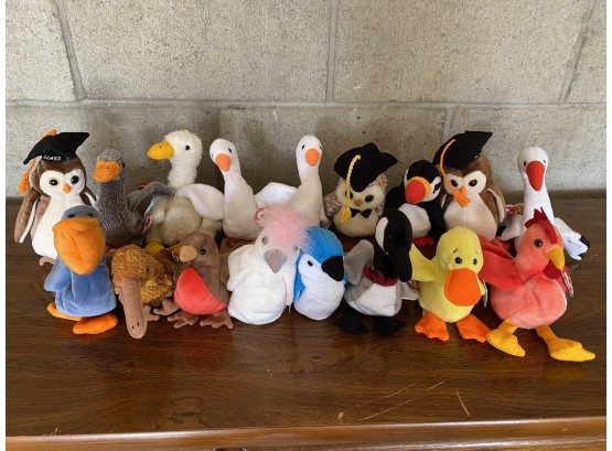 Ty Beanie Babies Collection - Miscellenous Birds (17)