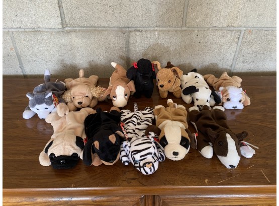 Ty Beanie Babies Collection - Miscellaneous Dogs (12)