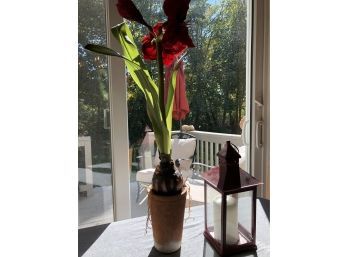 Lantern And Flower Set