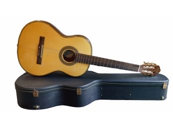 Beautiful Alde Audio Acoustic Guitar W/Case
