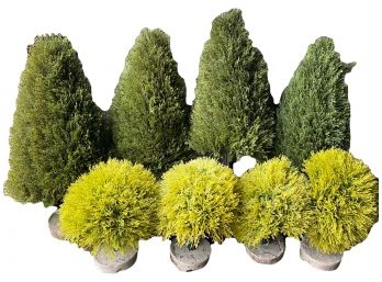 Faux Evergreen And Topiary Trees Sizes Vary