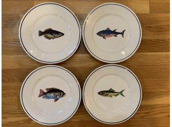 Four Estrela De Conimbriga (Portugal) For Casafina 9.5' Fish Plates
