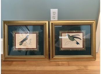 Pair Of Custom Framed Antique Hummingbird Prints