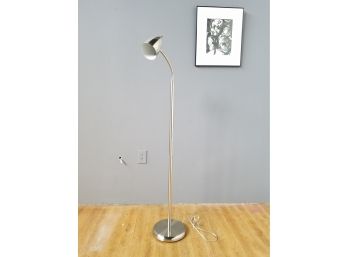Chrome Gooseneck Floor Lamp
