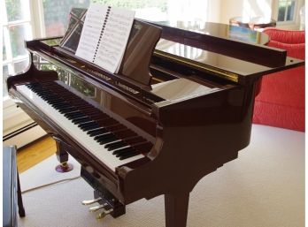 George Steck Digital Piano ***PROFESSIONAL MOVERS REQUIRED***