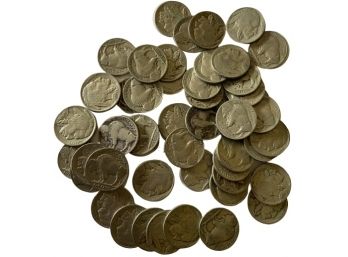 Buffalo Nickels (50)