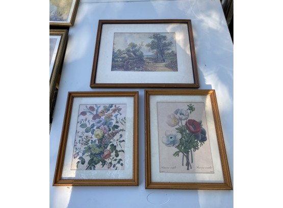 Three Framed Prints