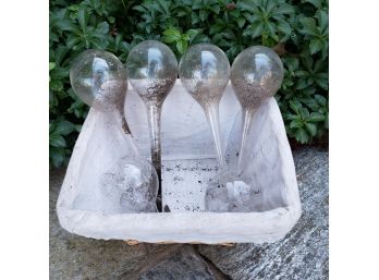 6 Glass Self Watering Plant Balls