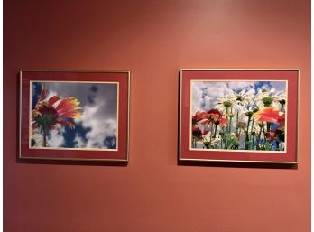 Pair Of Vibrantly Colored Floral Framed Photographs