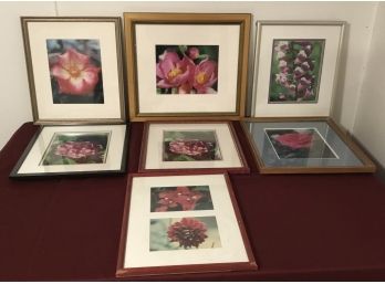 Seven Photos Framed Of All Botanical Flowers,  Colorful