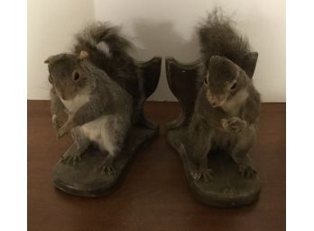 Pair Of Taxidermy Squirrels On Wooden Bases Vtg.