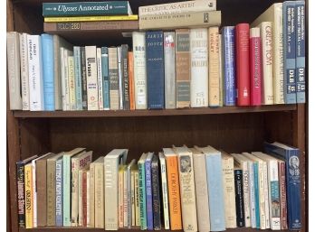Big Lot Of Classic Literature  /  Literary Criticism 76 Books