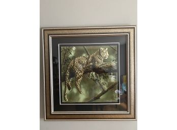 Trio Of Framed Leopard Prints By Andrew Bone