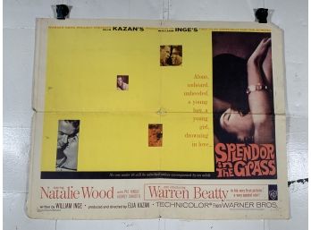 Vintage Folded One Sheet Movie Poster Splendid In The Grass 1961