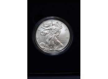 2013 Silver Eagle .999 One Ounce Dollar Coin Uncirculated Dh