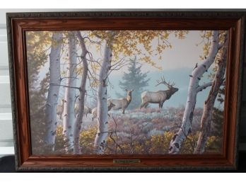 Striking Jim Hautman Through The Aspens Elk Wildlife Framed Art Piece $450