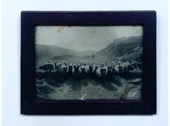 Sheep Print  - Great Antique Patina