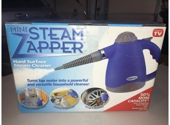 Steam Zapper Cleaner