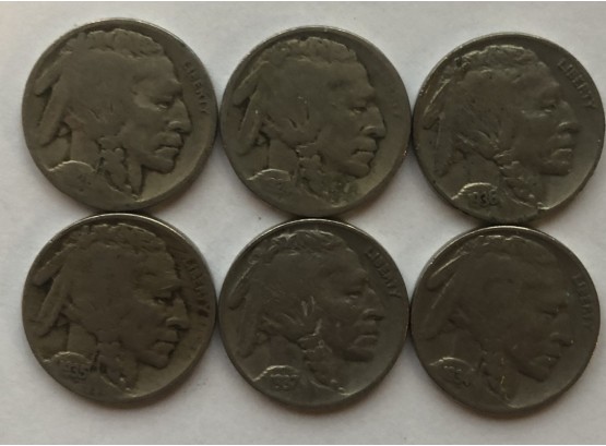 6 Buffalo Nickels 1924, 1928, 1934, 1935, 1936, 1937