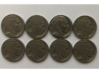 8 Buffalo Nickels 1920, 2924, 1928, 1930, 1934, 1935, 1936, 1937