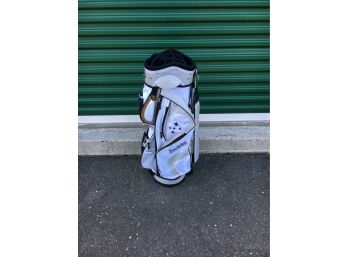 Tour Edge Golf Bag, Good Shape