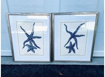 Pair Of Starfish Prints