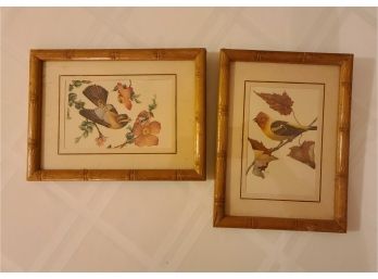 Vintage Bird Prints Framed, Lot Of 2