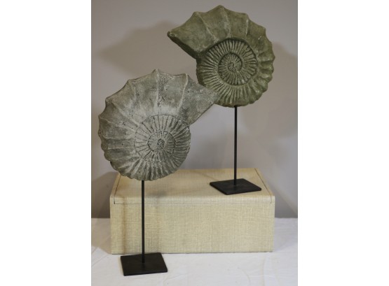Pair, Nautilus Shells Sculptures