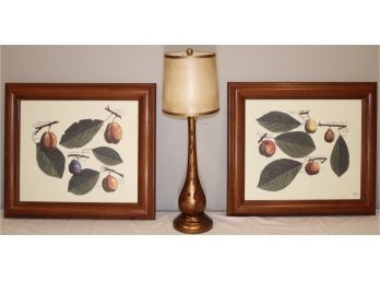Two Botanical Fruit Prints + Lamp